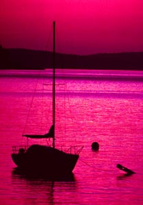 morning, Bar Harbor, Maine, 1982
